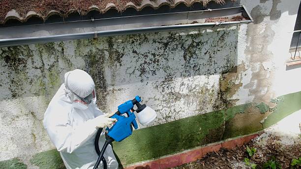 Trusted Crawl Space Mold Removal service in Hazlet, NJ - Cheap Mold Removal